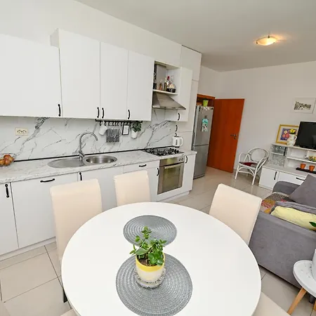 Amarena 023 * 扎达尔